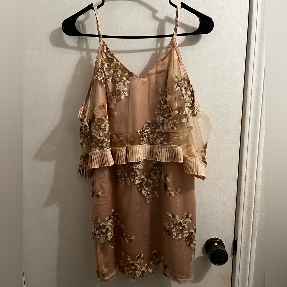 Floral Embroidered Sheer Dress